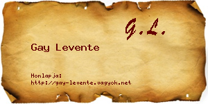 Gay Levente névjegykártya