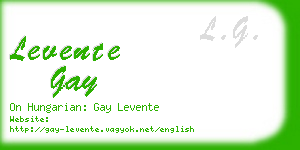 levente gay business card